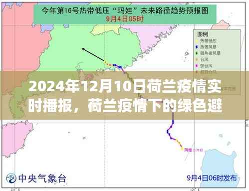 荷兰疫情下的绿色避风港,自然美景治愈之旅的实时播报(XXXX年荷兰疫情最新动态)