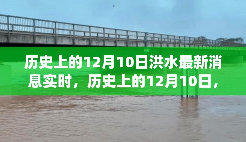 历史上的12月10日洪水动态，退去之际的希望与成长力量