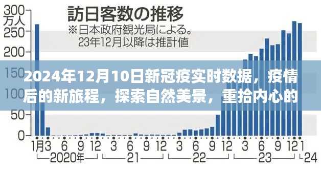 疫情后的新旅程，自然美景探索与内心平静的重建——2024年12月10日新冠实时数据观察