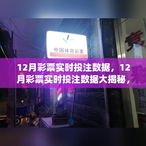 揭秘12月彩票实时投注数据，洞悉市场动态与趋势