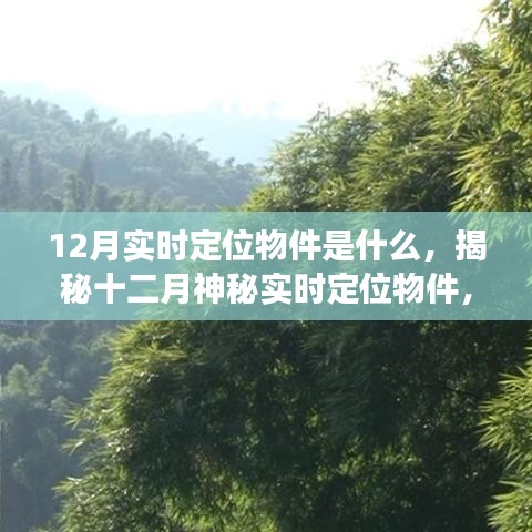 风驰电掣 第4页