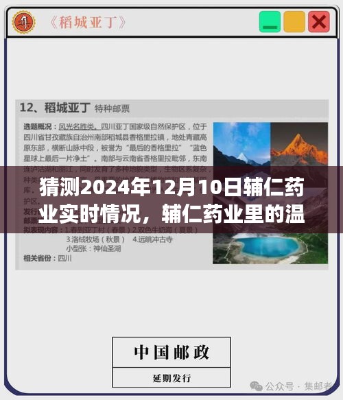 辅仁药业2024年展望，爱与友情的温馨时光预测故事