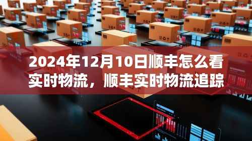 顺丰实时物流追踪指南,掌握货物动态,一键追踪尽在顺丰小程序