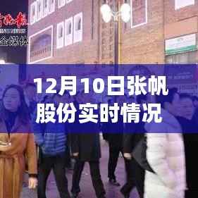 12月10日张帆股份实时动态详解与步骤指南