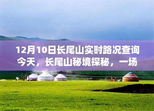 长尾山秘境探秘，实时路况查询与追寻内心平静的奇妙旅程