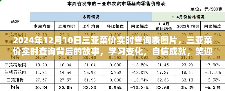 三亚菜价实时查询背后的故事，学习变化，自信成就，笑迎未来