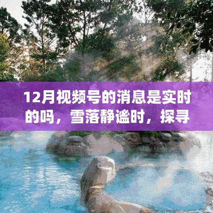 admin 第4页