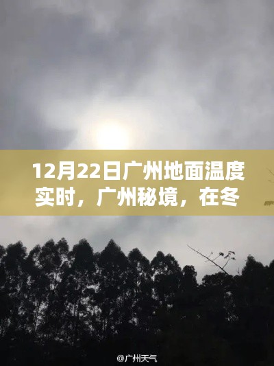 冬至广州秘境,地面温度的实时探索与温暖呼唤