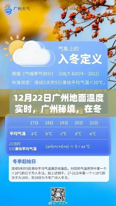冬至广州秘境,地面温度的实时探索与温暖呼唤