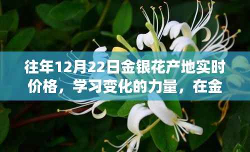 往年12月22日金银花产地实时价格,探寻价格波动的力量与自我成就启示之路