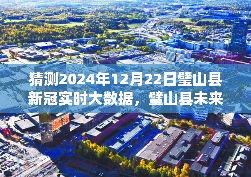 璧山县未来时光，预测2024年12月22日新冠实时大数据洞察