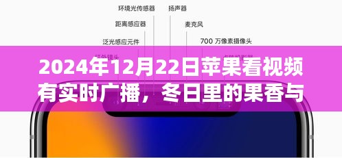 niaotihualuo 第4页