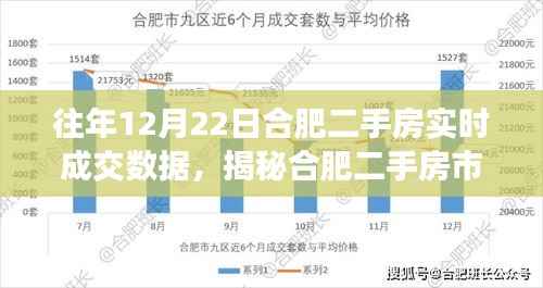 揭秘合肥二手房市场,实时成交数据与小巷深处的成交奇迹(十二月二十二日)
