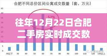 揭秘合肥二手房市场,实时成交数据与小巷深处的成交奇迹(十二月二十二日)