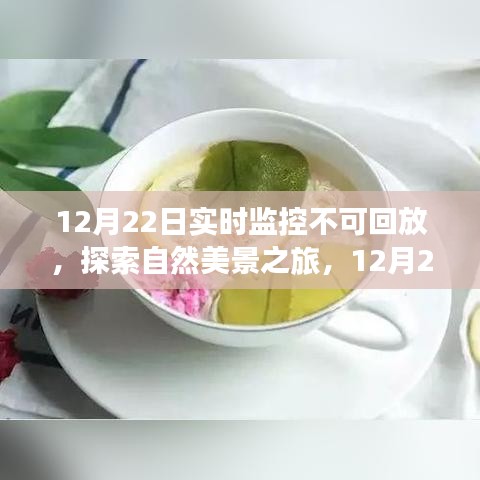 12月22日实时监控下的自然美景探索与心灵回归之旅
