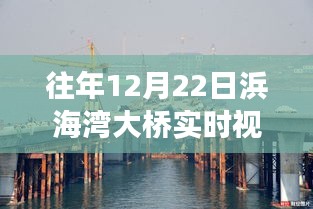 浜海湾大桥实时直播系统，科技巨擘重塑生活，未来桥梁监控之旅体验纪实