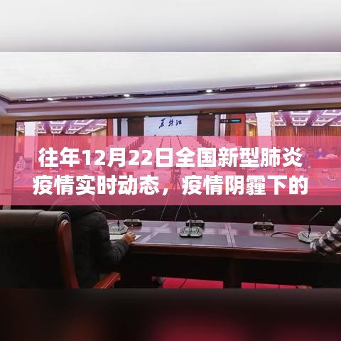 疫情阴霾下的绿色避风港，全国新型肺炎疫情实时动态与治愈之旅的启示