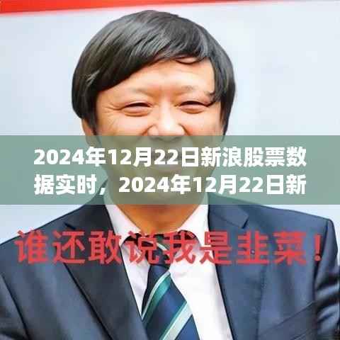 新浪股票实时数据解析,洞悉市场动态,把握投资机会(2024年12月22日)