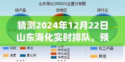 2024年12月22日山东海化实时排队现象展望与解析