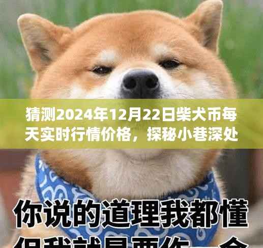 探秘特色小店与柴犬币行情预测,揭秘未来柴犬币价格走势与日常价格动态(2024年12月22日)