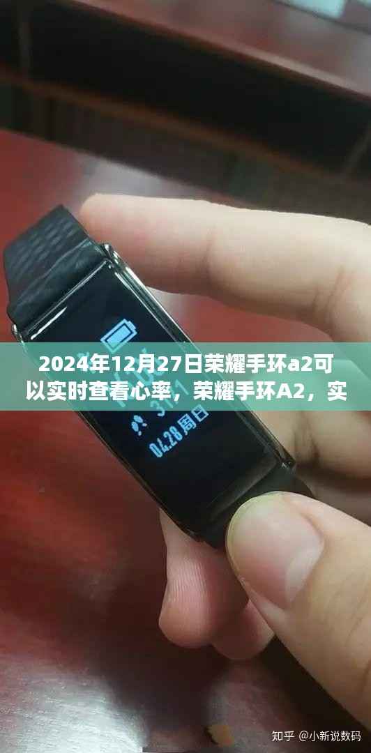 荣耀手环A2实时心率监测,开启健康自信的学习与成长之旅