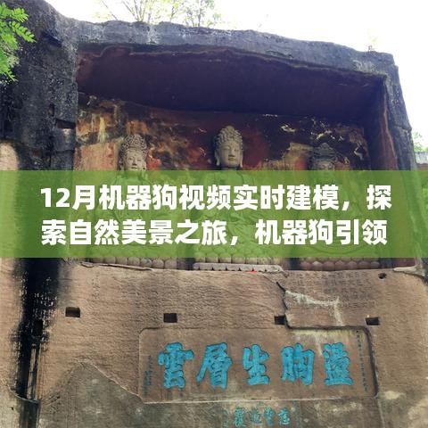 机器狗引领宁静十二月奇迹之旅，实时建模探索自然美景的视频之旅