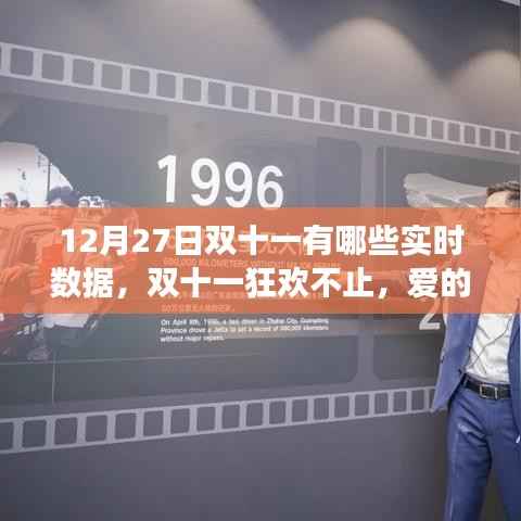 双十一狂欢背后的数据魔法与家的温馨故事,实时数据解析与爱的纽带闪耀日常