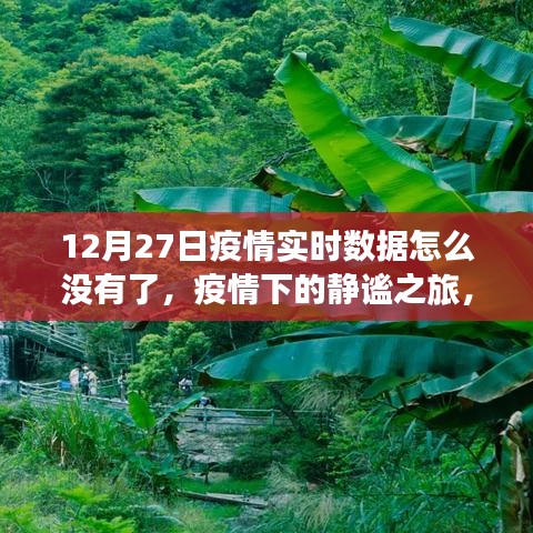 疫情静默之际，与自然同步的静谧之旅