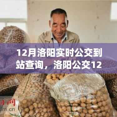 洛阳实时公交到站查询,时代的进步与出行的便捷