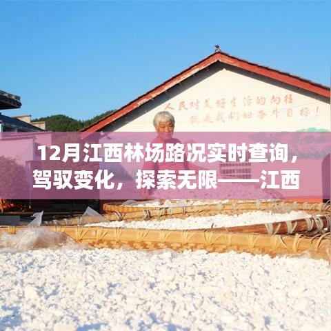 江西林场路况实时查询背后的励志故事，驾驭变化，探索无限