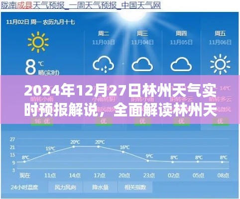 林州天气预报解说，全面解读特性、体验、竞品对比与用户洞察