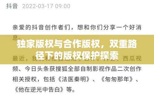 独家版权与合作版权,双重路径下的版权保护探索
