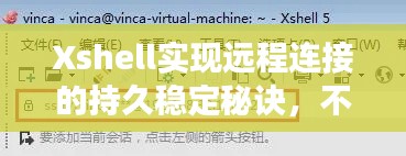 Xshell实现远程连接的持久稳定秘诀，不断线持续访问的秘密武器！
