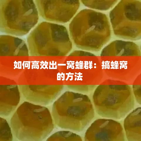 yizhibanxie 第3页