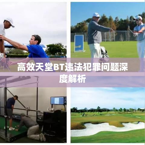 高效天堂BT违法犯罪问题深度解析