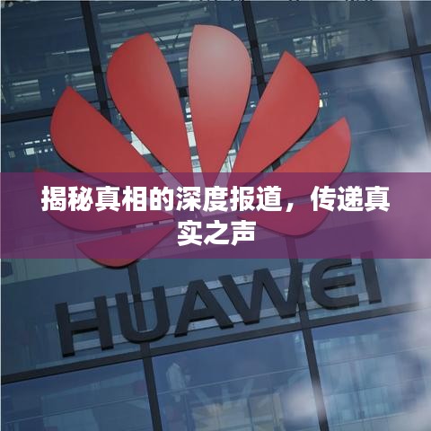 揭秘真相的深度报道，传递真实之声