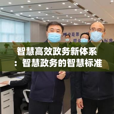 智慧高效政务新体系：智慧政务的智慧标准 