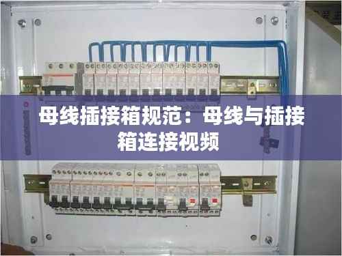 母线插接箱规范:母线与插接箱连接视频