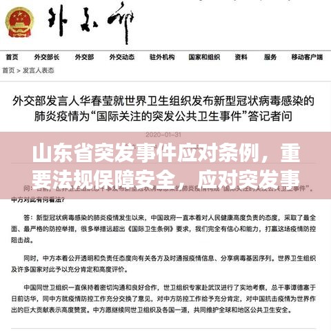 山东省突发事件应对条例，重要法规保障安全，应对突发事件必备指南
