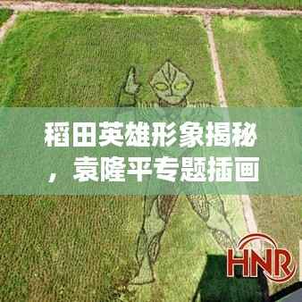 稻田英雄形象揭秘,袁隆平专题插画欣赏