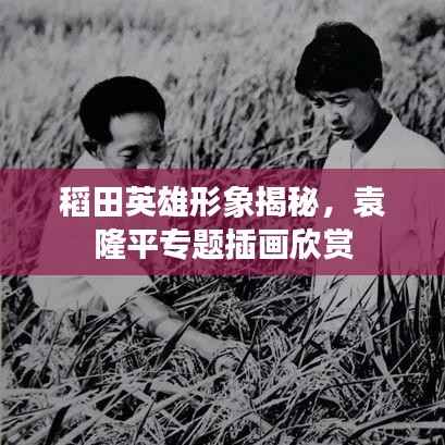 稻田英雄形象揭秘,袁隆平专题插画欣赏