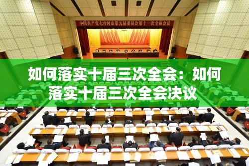 如何落实十届三次全会：如何落实十届三次全会决议 