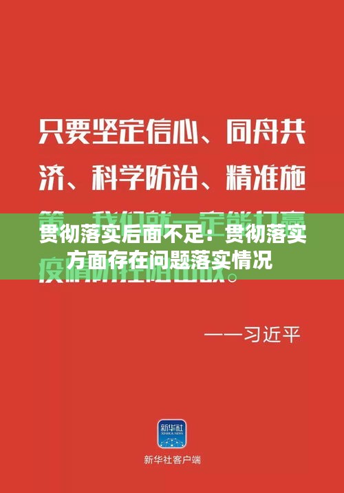 贯彻落实后面不足：贯彻落实方面存在问题落实情况 