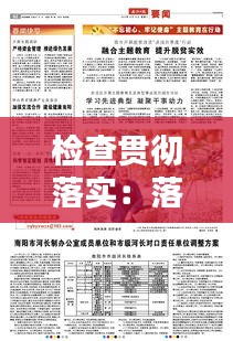 检查贯彻落实：落实检查要求 