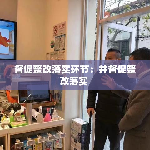 督促整改落实环节：并督促整改落实 