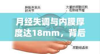 月经失调与内膜厚度达18mm,背后的健康隐患解析