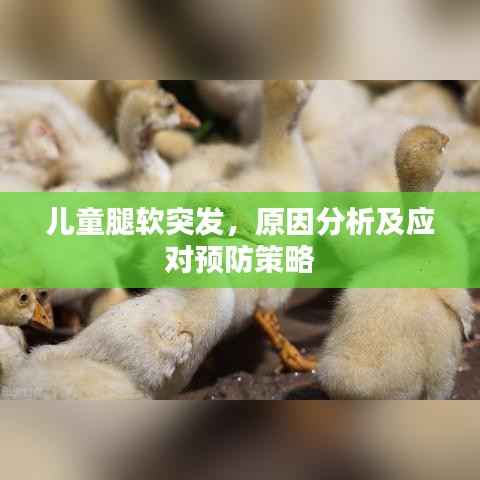 儿童腿软突发,原因分析及应对预防策略