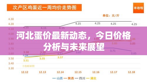 河北蛋价最新动态，今日价格分析与未来展望