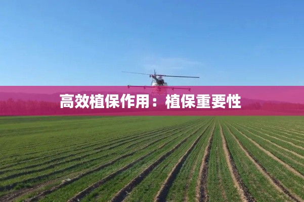 高效植保作用:植保重要性