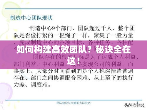 如何构建高效团队？秘诀全在这！